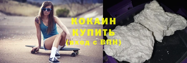 гашик Заводоуковск
