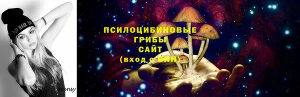 молекула духа Заволжье
