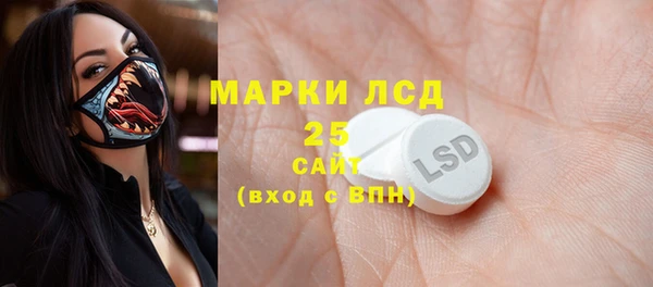 молекула духа Заволжье