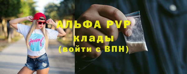 молекула духа Заволжье