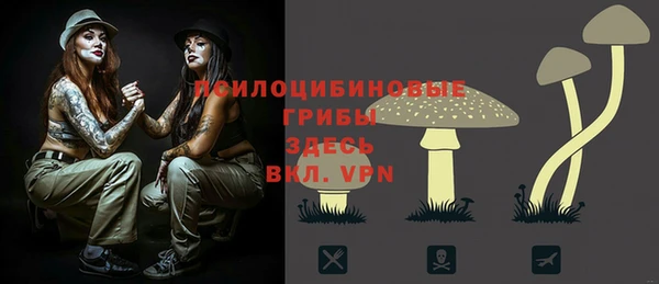 2c-b Заволжск