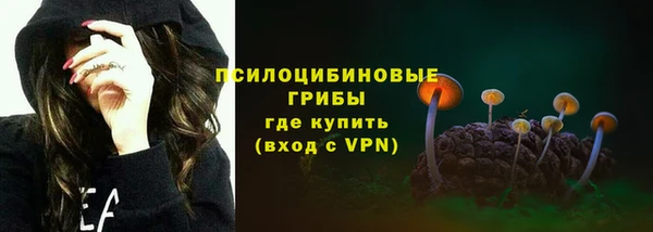 гашик Заводоуковск