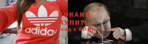 гашик Заводоуковск