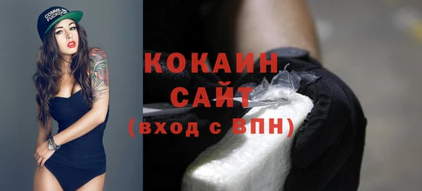 молекула духа Заволжье