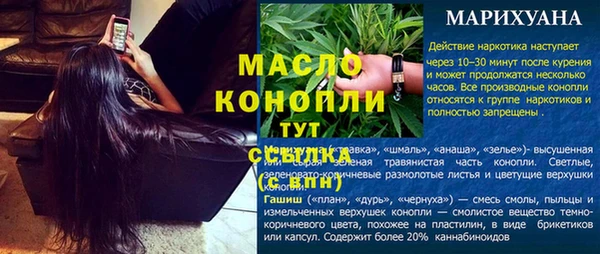 гашик Заводоуковск