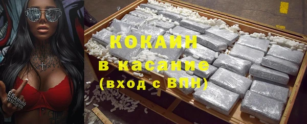 гашик Заводоуковск