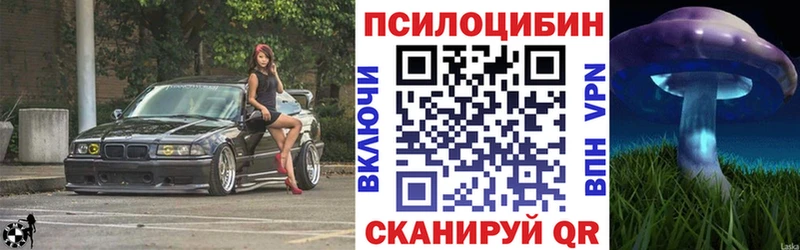 Галлюциногенные грибы Psilocybe  Купить где  Кирово-Чепецк 